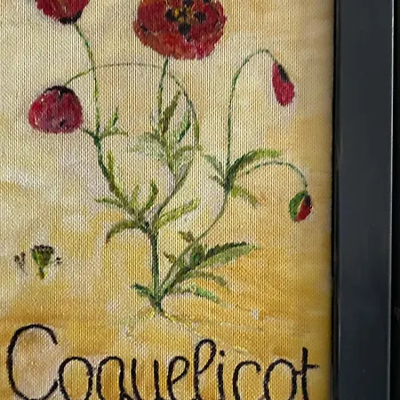 Les Coquelicots N°1 Avec Wi-fi - - Fr-1-858-20 Apartamento