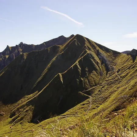 Les Coquelicots N°1 Avec Wi-fi - - Fr-1-858-20 Apartamento *