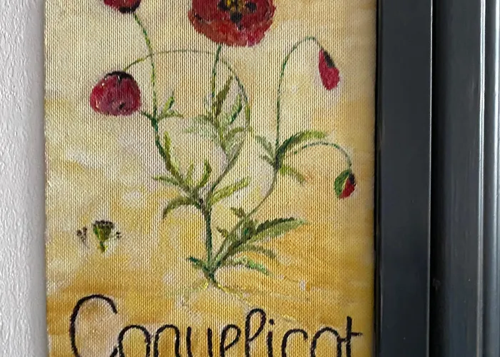 Les Coquelicots N°1 Avec Wi-fi - - Fr-1-858-20 Appartement