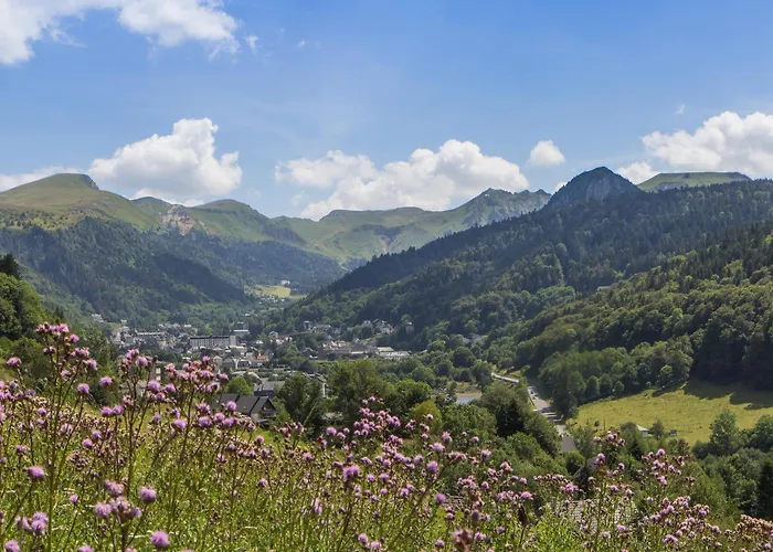 Les Coquelicots N°1 Avec Wi-fi - - Fr-1-858-20 Appartement